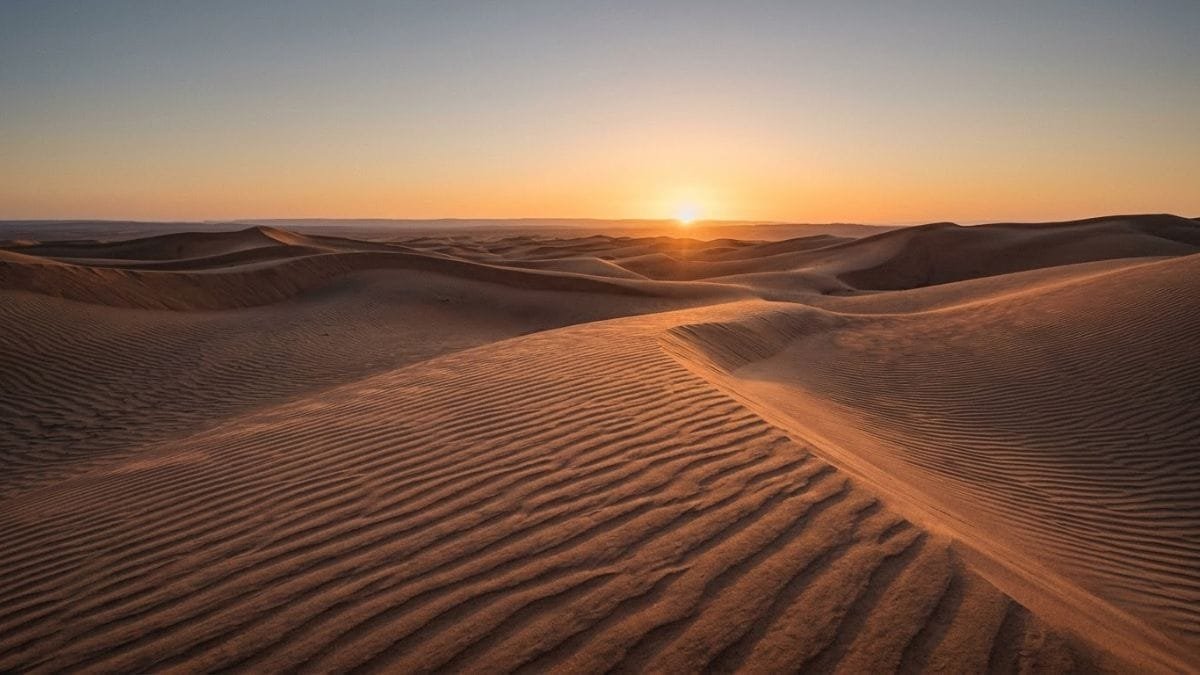  Rippled desert sand dunes at sunset under a clear sky